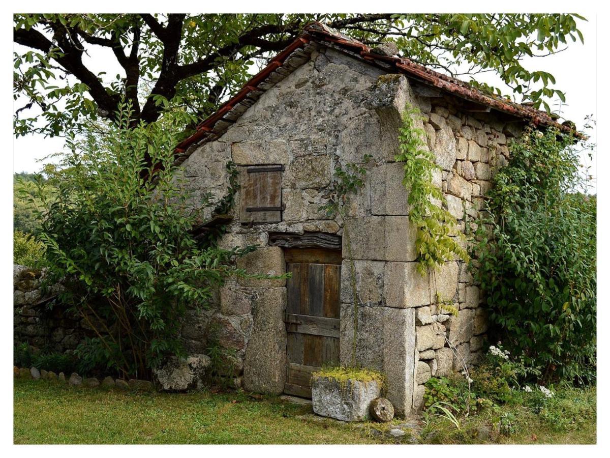 A L'Ombre Du Tilleul Comiac 외부 사진